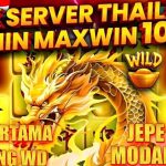 Rahasia Super Scatter Gate of Olympus: Cara Pakai Pola Agar Jackpot Langsung Meledak!