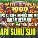 Jangan Spin Sebelum Baca Ini! Cara Pakai Pola Gacor Agar Petir x500 Turun di Setiap Putaran